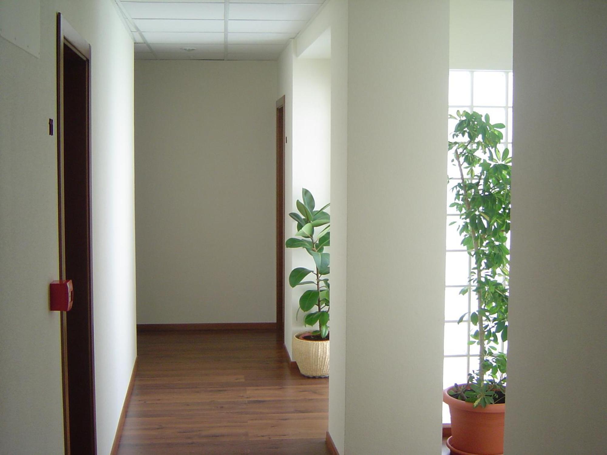 Hostal El Estudio Almansa Esterno foto